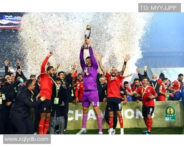 非洲足球明星对中国国家足球队的表现与未来发展进行深度点评与分析